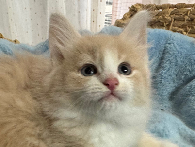 2025年9月27日生まれ