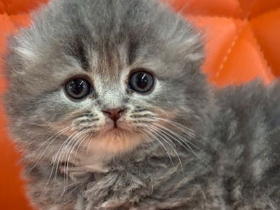 2026年2月19日生まれ