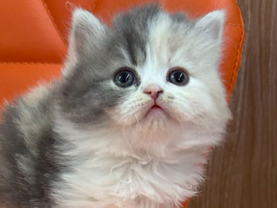 2026年2月19日生まれ