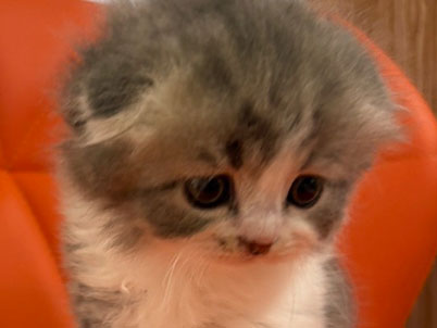 2026年2月19日生まれ