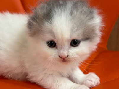 2026年2月19日生まれ