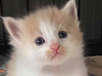 2026年1月9日生まれ