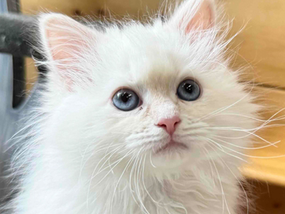 2026年1月9日生まれ