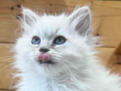 2026年1月9日生まれ