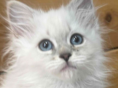 2026年1月9日生まれ