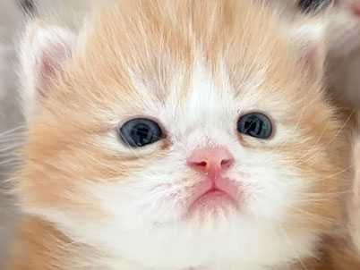 2026年3月8日生まれ