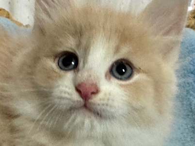 2025年9月27日生まれ