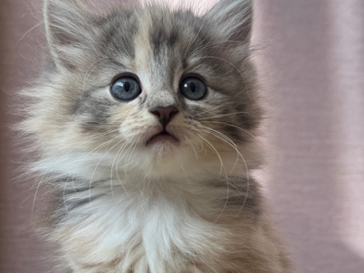 2025年10月16日生まれ