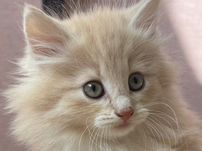 2025年10月16日生まれ