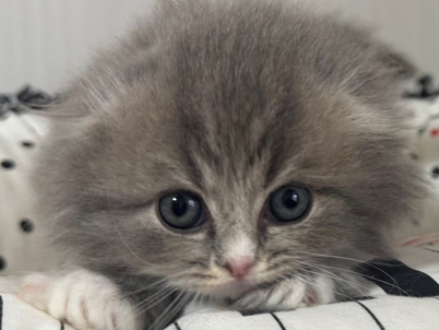 2025年11月1日生まれ