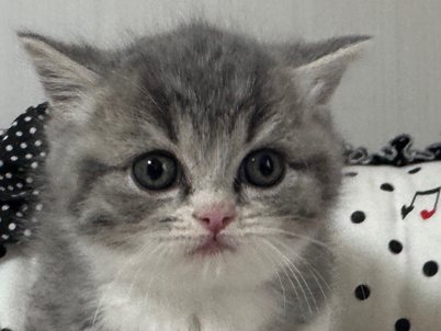 2025年11月1日生まれ