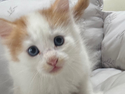 2025年8月24日生まれ