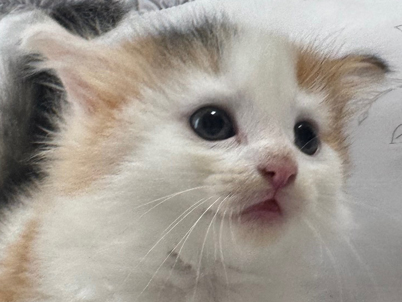 2025年8月24日生まれ